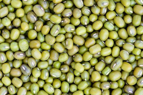 Why You Should Probably Be Eating Mung Beans & All Their Benefits