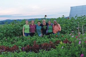 The upstate farm that New York City women built