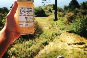 Why healthy hipsters love this gut-friendly fermented drink