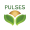 Pulse_Logo