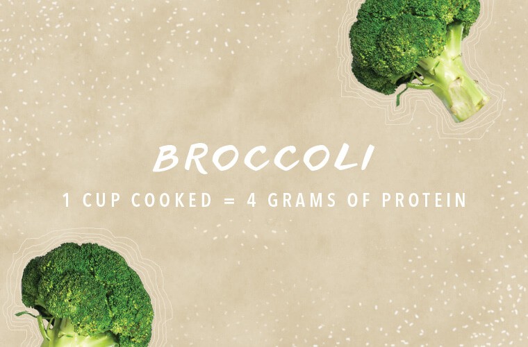 protein sources broccoli