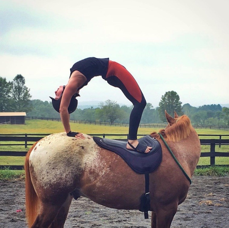 horse yoga