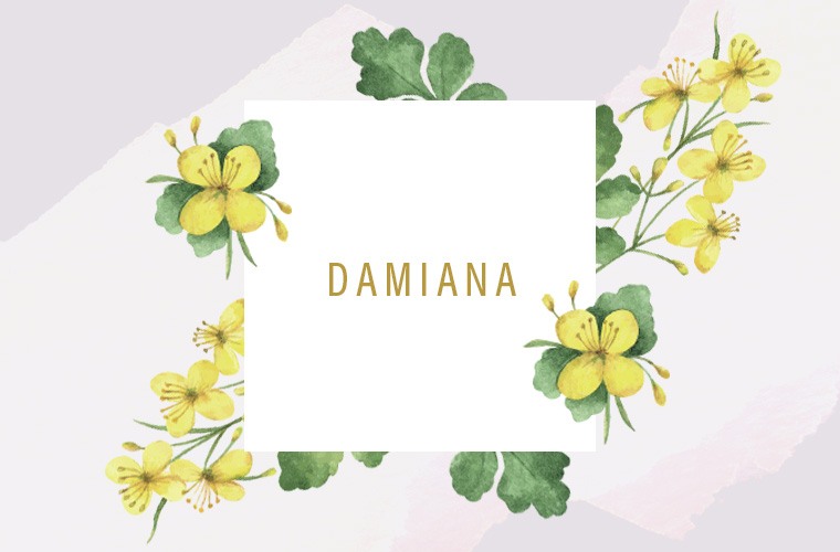 damiana