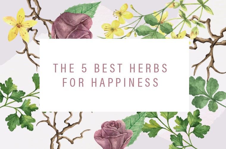 herbs for happiness