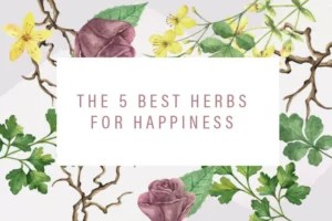 These 5 mood-boosting herbs will help you end winter on a high