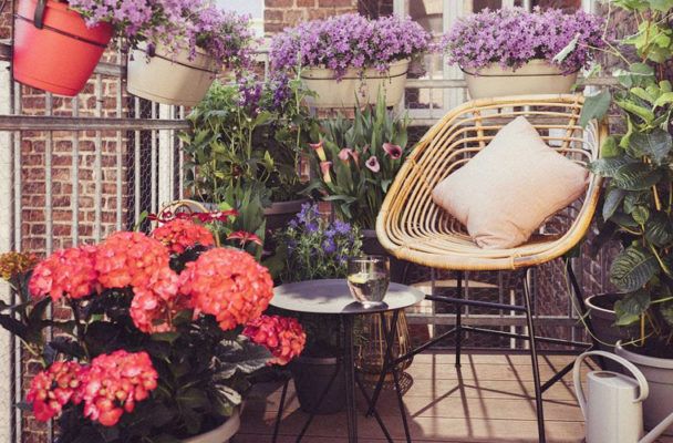 You Just Need These 5 Things to Create a Dreamy Backyard Oasis This Summer
