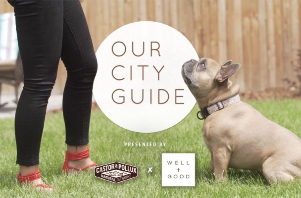 Why You Need to Add Denver to Your Dog-Friendly Wellness Vacay List