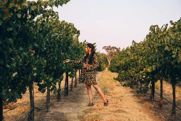 6 Ways to Have the Perfect Healthy Day in Napa Valley