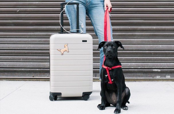 The 8 Travel Gadgets That Will Make Your Next Trip Less Stressful