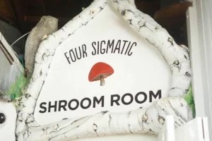 At this healthy hangout, shrooms are on the menu