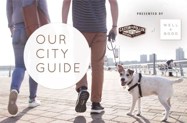 The Healthy Pet Parent’s Guide to Nyc’s Upper West Side