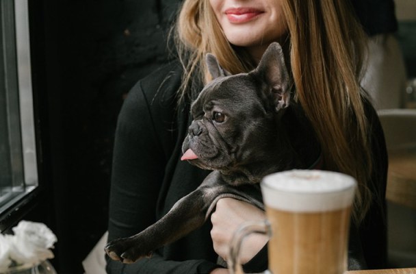 Cutest Coffee Break Ever? Nyc's First Dog Cafe Is Here