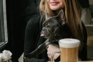 Cutest coffee break ever? NYC's first dog cafe is here