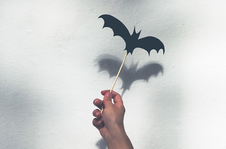 bat shadow