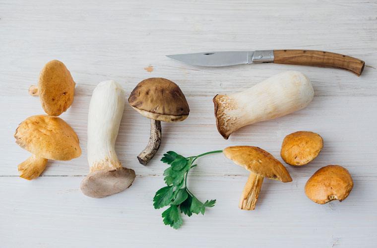 Mushrooms and knife