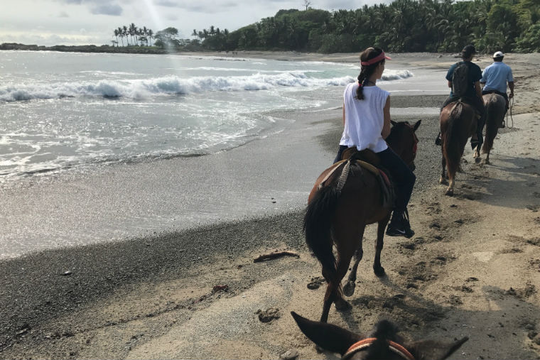 learn about horseback riding in santa teresa