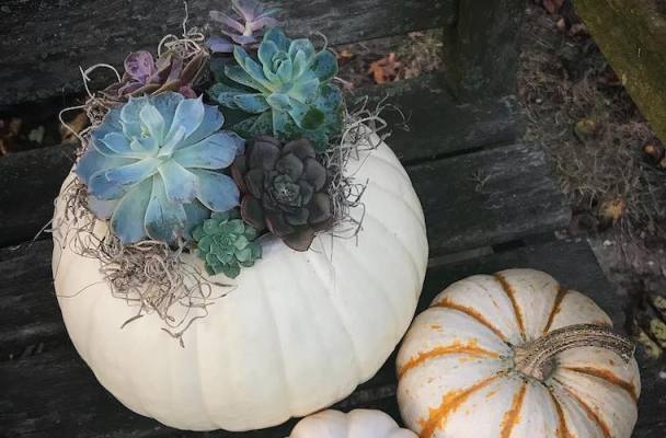 8 Ways to Decorate Your Pumpkin That Don’t Involve Carving