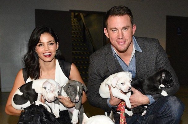 6 Celebs Who Are the Epitome of Relationship #goals—With Their Pets