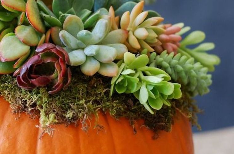 Thanksgiving decoration ideas from Pinterest