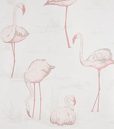 How To Use Nature Inspire Flamingo Wallpapers Wellgood - instagram flamingo albert wallpaper