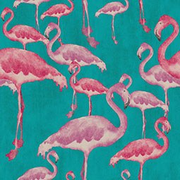 Flamingo Albert Wallpaper Phone