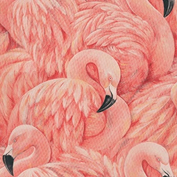 How To Use Nature Inspire Flamingo Wallpapers Well Good