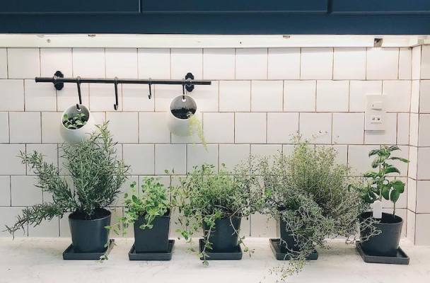 12 Creative Instagrams to Inspire Your Own Cool Kitchen Herb Garden