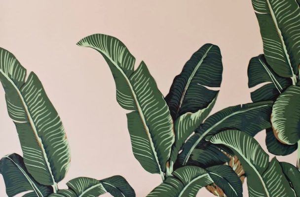 13 Wallpapers That Will Turn Your Home Into a Tropical Jungle Oasis
