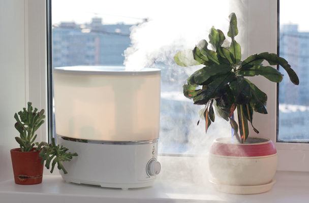 These 9 Top-Rated, Skin-Saving Humidifiers on Amazon Want to Winterize Your Healthy Home