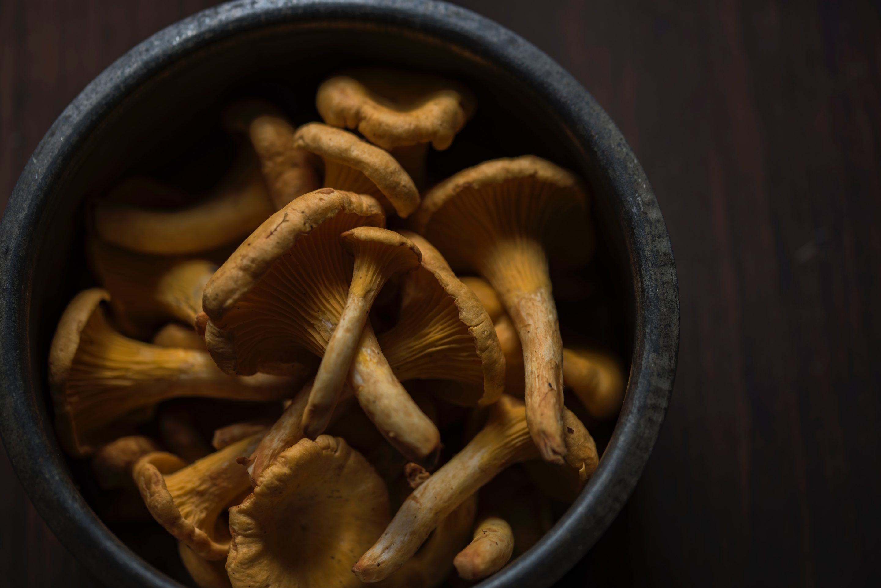 Porcini mushrooms for brain health