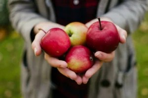 An apple a day is even better for you than you thought