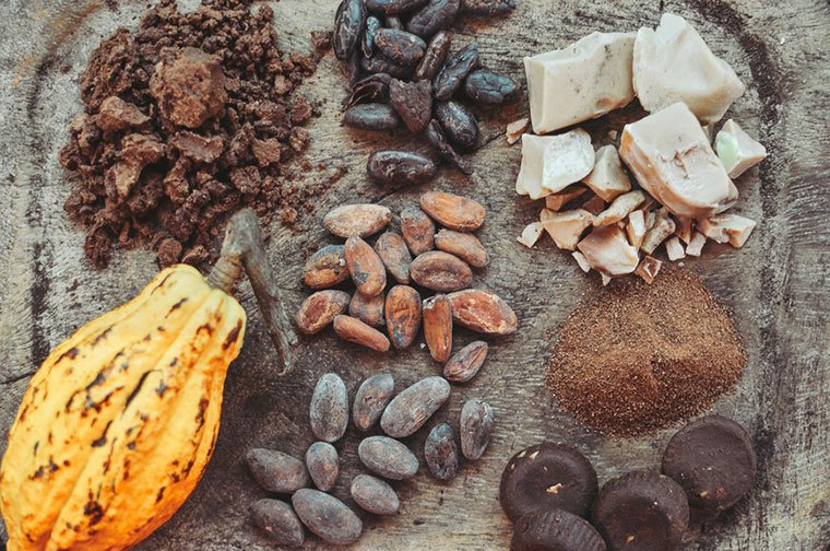 Chocolate could be extinct by 2050—Here's why
