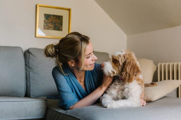 Here's How to Keep Your Pup Safe From the Dog-Flu Outbreak