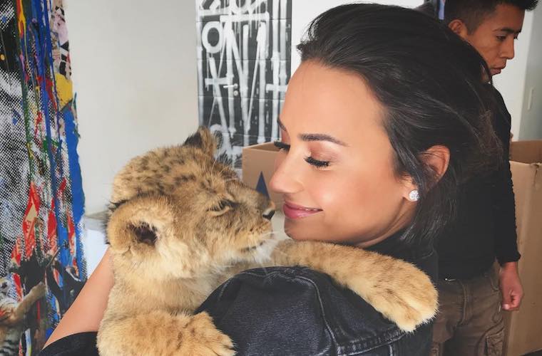 Demi Lovato's tour will include free therapy for fans