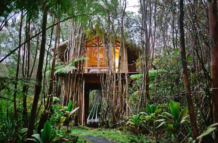 5 secluded tree houses to stay in on Airbnb