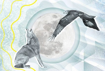 Your Energy Horoscope for February: Get Pumped, Because It’s Time to Fly High