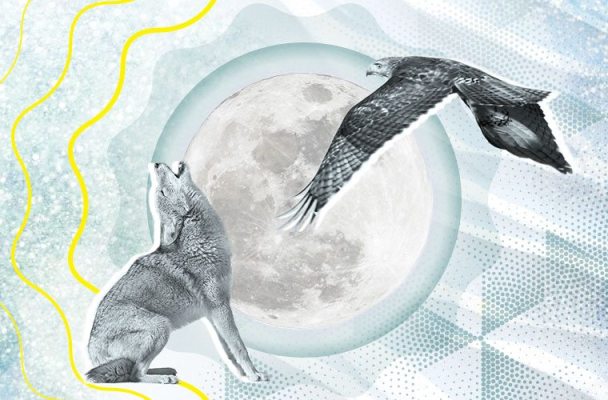 Your Energy Horoscope for February: Get Pumped, Because It's Time to Fly High
