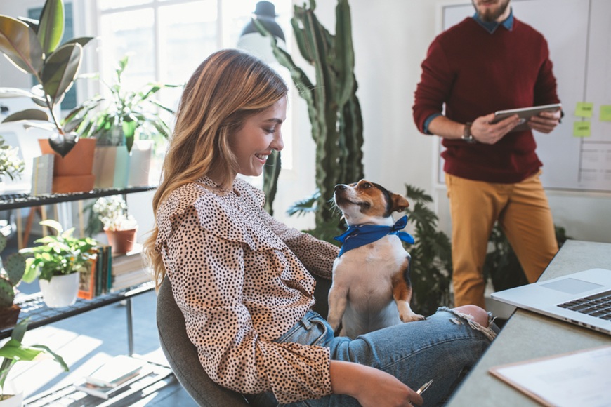These pet-friendly offices are hiring right now