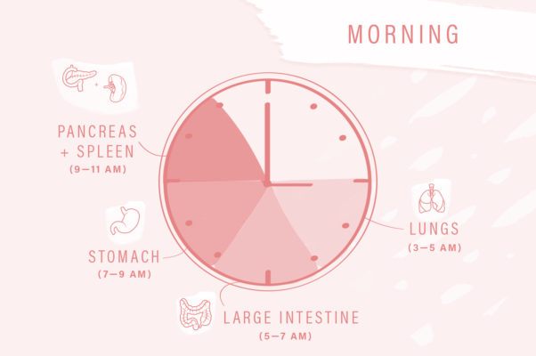 traditional chinese medicine body clock