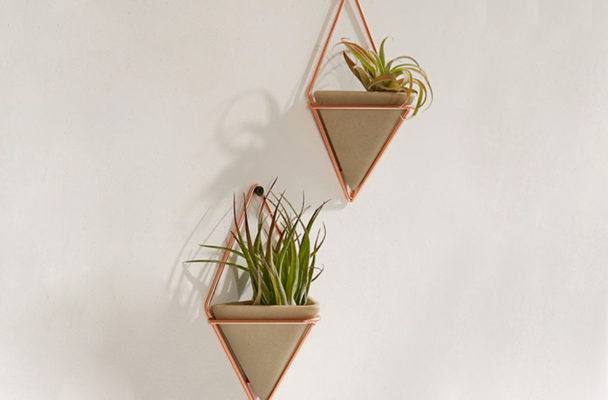 6 Wall Planters That Will Breathe New Life Into Your Home