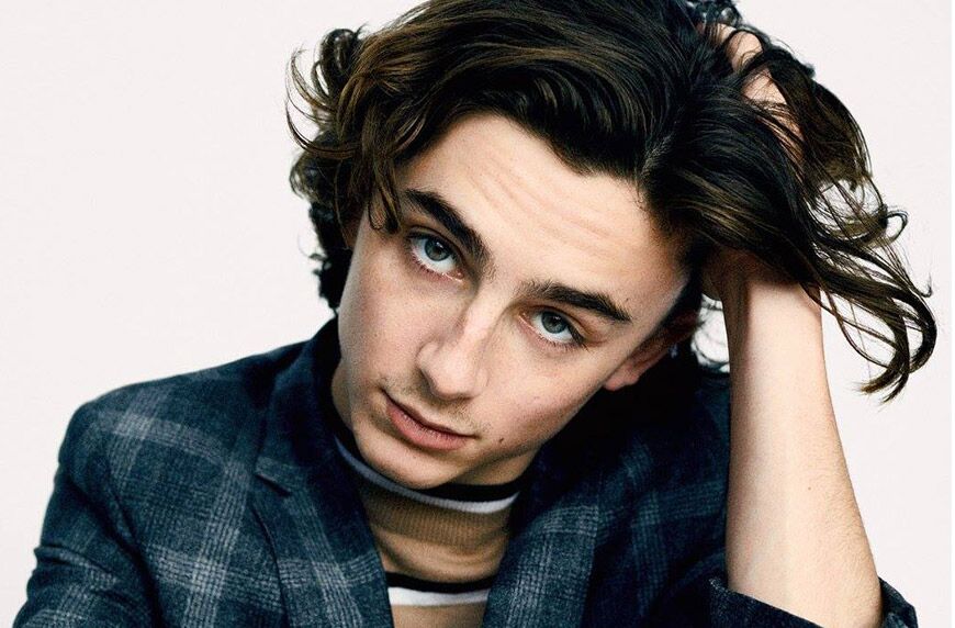Timothée Chalamet uses sulfate-free conditioner | Well+Good