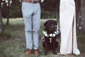A new on-the-rise wedding trend, according to Etsy? Pets!