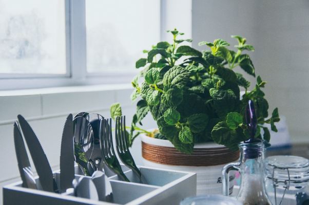 This Is How Often You Should Be Getting Rid of Every Product in Your Kitchen