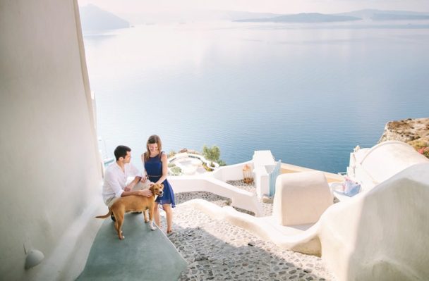 Want Your Pet to Join Your Honeymoon Because of Separation Anxiety? You're Not Alone