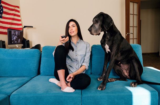 Prefer to Binge-Watch With Your Pet? You're Hardly Alone, Survey Results Show