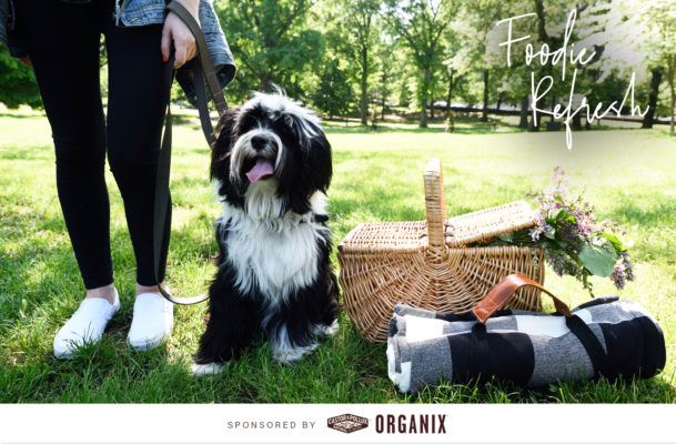 How to Pack the Perfect Healthy Picnic (for You and Your Furry BFF)