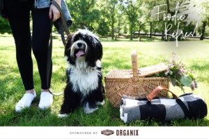 How to pack the perfect healthy picnic (for you and your furry BFF)