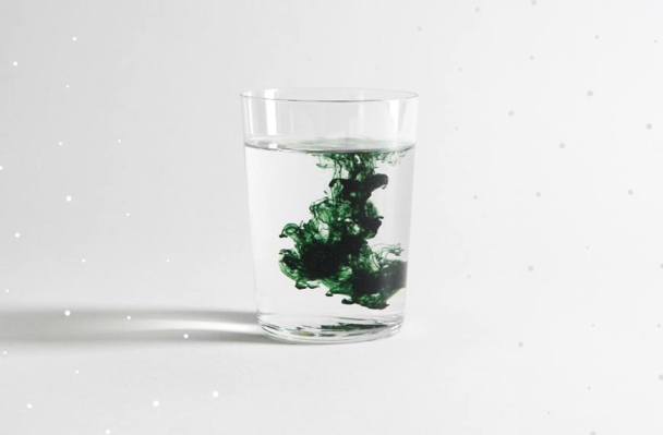 Could Chlorophyll Be a Helpful Addition to Your Gut-Health Regimen?