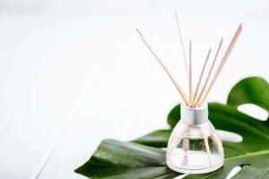 How to make an air freshener and essential oil diffuser at home