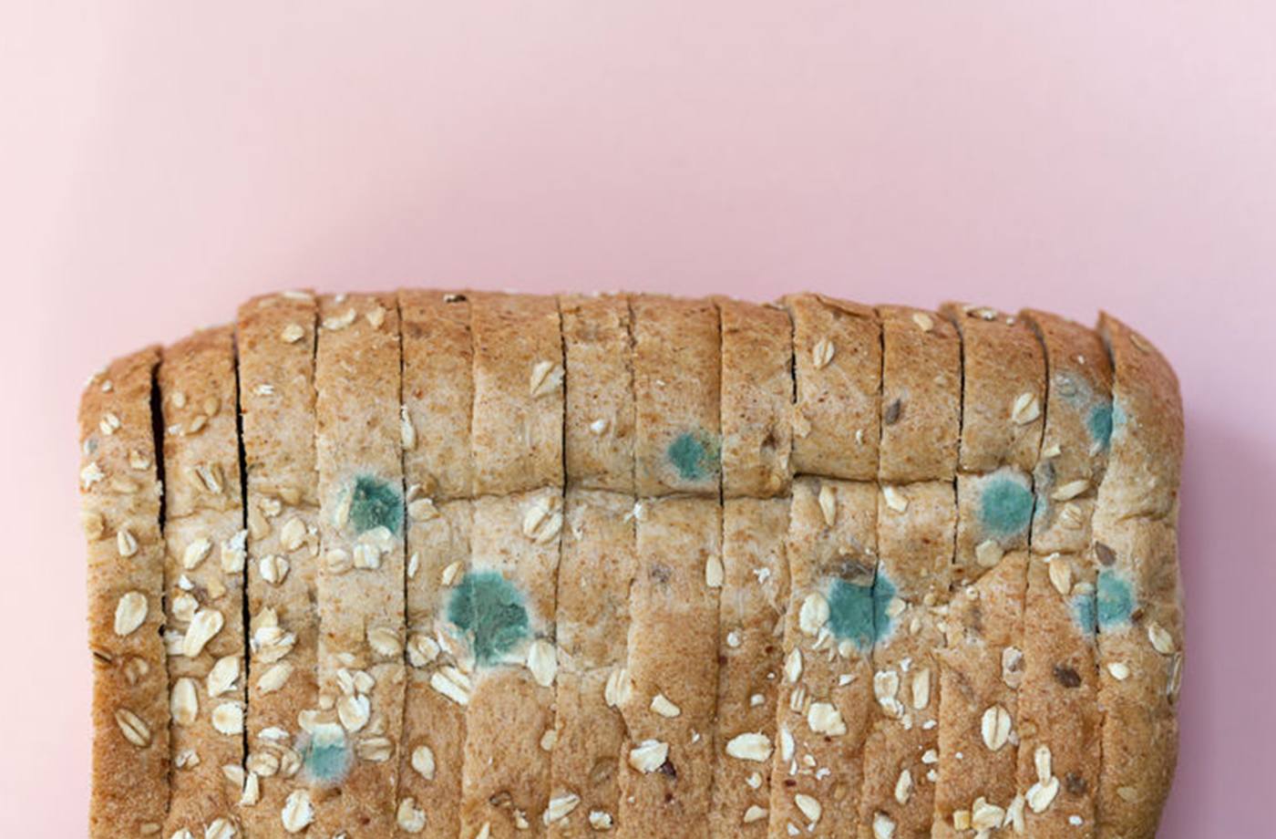 what happens if you eat moldy bread